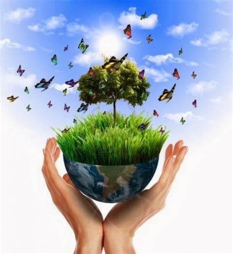 Ecología y educación ambiental: Importancia de la ...