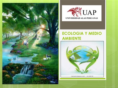 Ecologia y medio ambiente