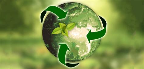 Ecología y Medio Ambiente: Opciones Profesionales   IOE