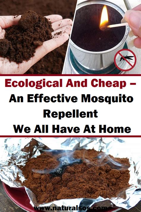 Ecological And Cheap – An Effective Mosquito Repellent We ...