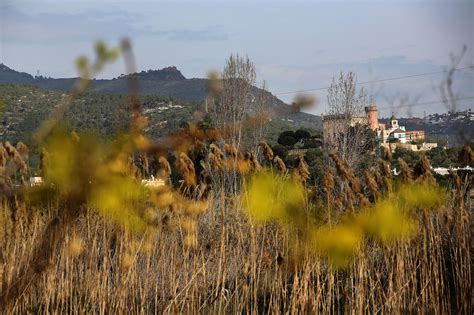 Ecologistas critican las alegaciones del Ayuntamiento de Castelldefels ...