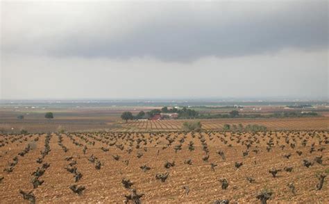 Ecologistas denuncia los ataques “injustificados” a las zonas ZEPA ...