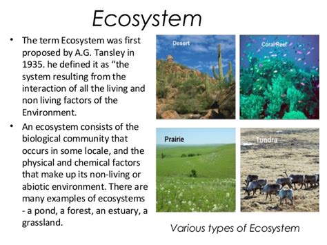 Ecology and ecosystem