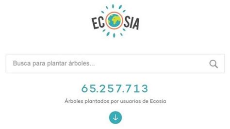 Ecosia y los incendios en el Amazonas: cómo funciona el buscador de ...