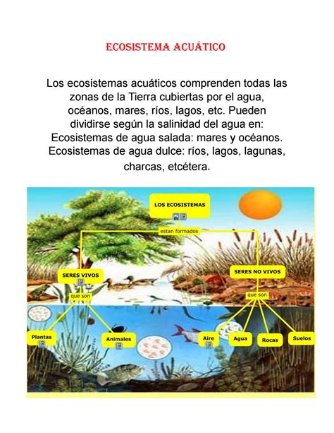 Ecosistema acuático by cris123   Issuu