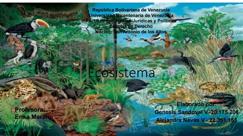 Ecosistema definicion, caracteristicas y clasificacion by ...