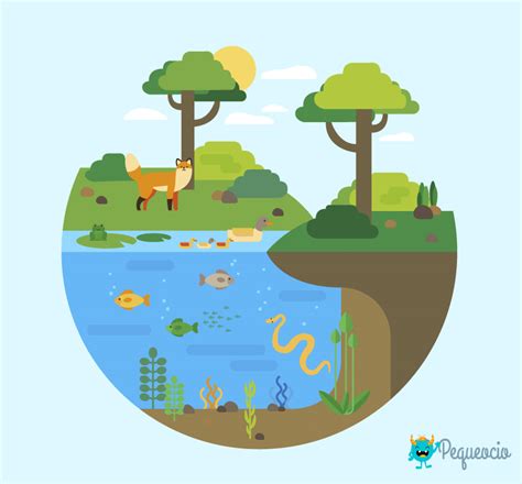Ecosistema: definición y tipos de ecosistemas | Pequeocio