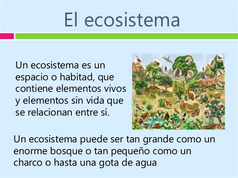 Ecosistema.