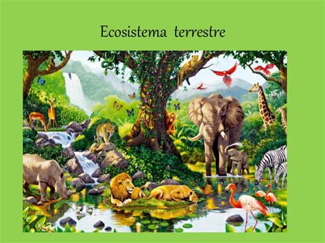 Ecosistema terrestre