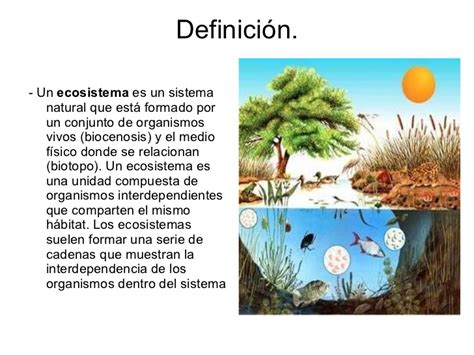 Ecosistemas 3