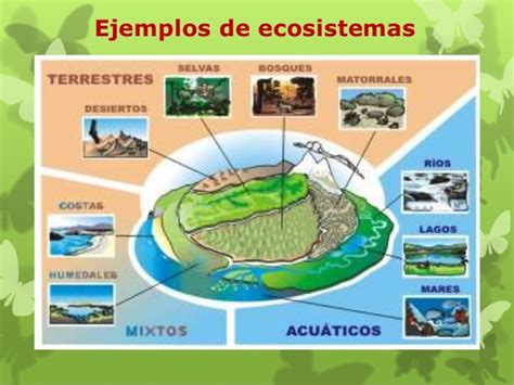 Ecosistemas 5º 2014 parte 1