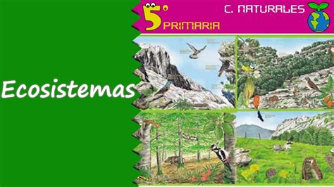 Ecosistemas. Naturales, 5º Primaria. Tema 6   YouTube