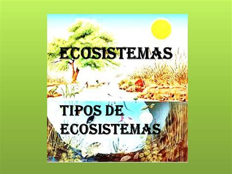 Ecosistemas Tipos de ecosistemas.   ppt video online descargar