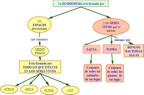 ECOSISTEMAS Y COMPONENTES ~ ECOSISTEMAS