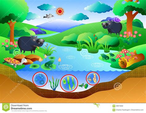 Ecosystem Cartoons, Illustrations & Vector Stock Images ...