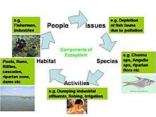Ecosystem   Simple English Wikipedia, the free encyclopedia