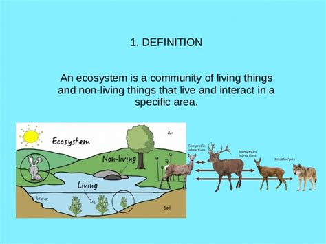 Ecosystems: definitions