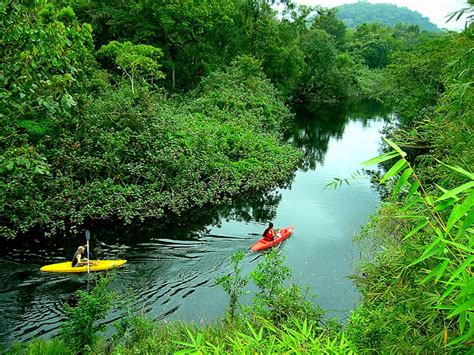 Ecoturismo en el Amazonas | Turismo ecológico de aventura ...