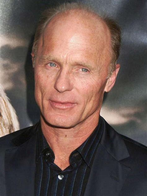 Ed Harris   Cinéma Passion