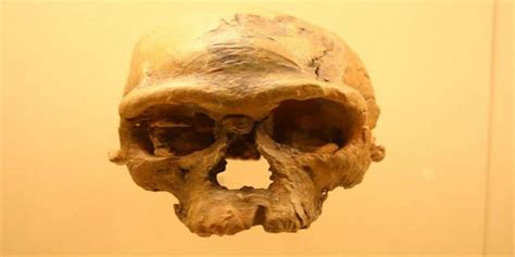 Edad de Piedra: Hallan los restos del «Homo sapiens» más ...