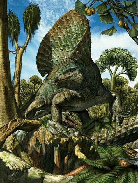 Edaphosaurus | Animales de la prehistoria, Animales ...