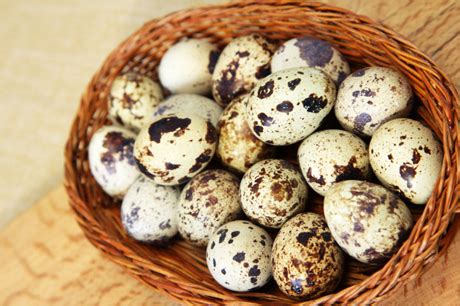 Edible eggs other than chicken