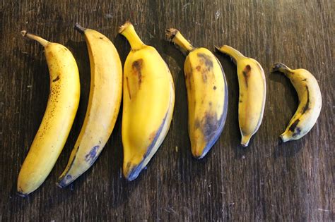 Edible Tropicals: How to: Propagate Bananas