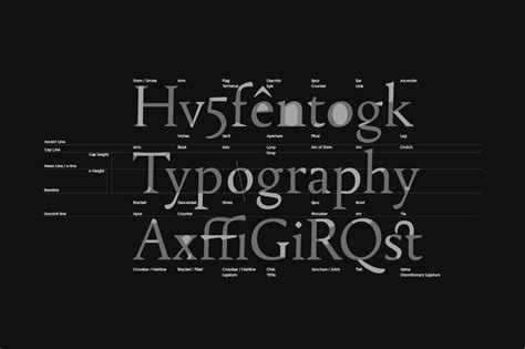 Editar fuentes con Type Light | Iborra Web Design