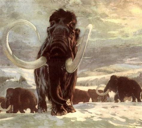 Eduard Štorch : Lovci mamutů . Illustration Zdeněk Burian ...