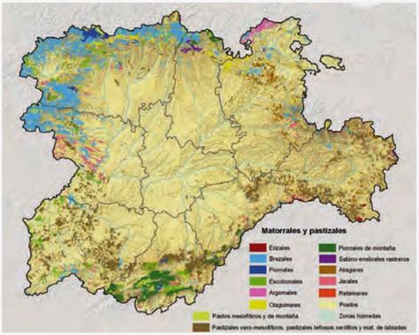 Educación Forestal: Mapas de vegetación de Castilla y León