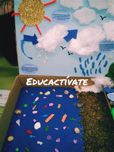Educactívate: Proyecto del ciclo del agua