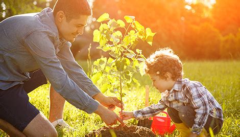 Educar para cuidar el planeta: sostenibilidad y medio ambiente