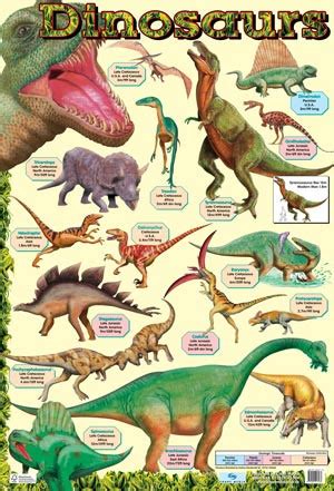 Educational Posters for Children | Dinosaur Chart Poster