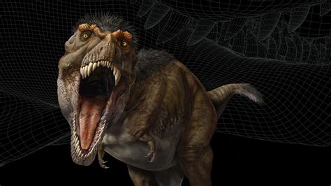 Educator Resources   T. rex: The Ultimate Predator | AMNH