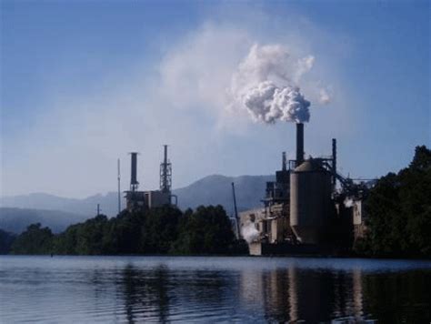 Efectos ambientales causados por industrias: Los 5 ríos ...