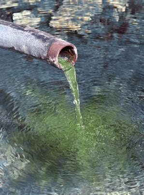 Efectos del agua contaminada en tu salud – Plenilunia
