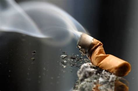 Efectos del tabaco en el medio ambiente. | Vanguardia.com