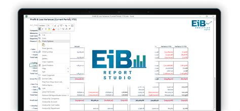 EiB ReportStudio | Excel in Business | Self Service ...