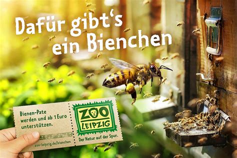 Ein Bienchen für Dich   Patenschaft abschließen | Zoo Leipzig