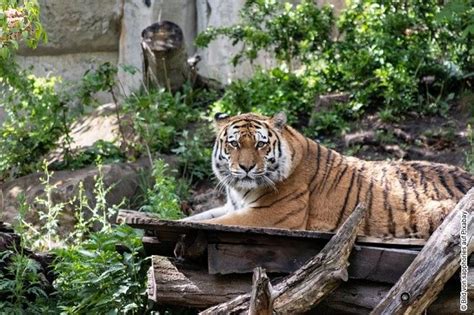 Ein Tag im Leipziger Zoo   Ferientermin! | Burkert Reisen Sehmatal
