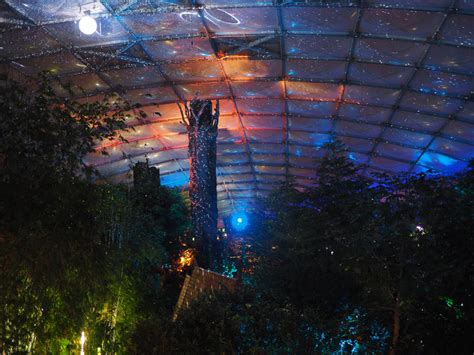 Einzigartiges Lichterfestival „Magisches Tropenleuchten“ beginnt im Zoo ...