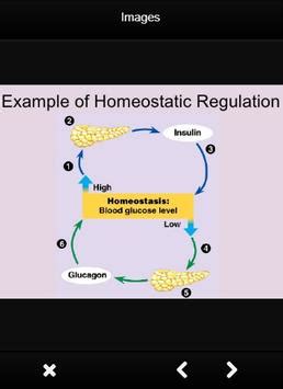 Ejemplo de biología de la homeostasis Descarga APK ...