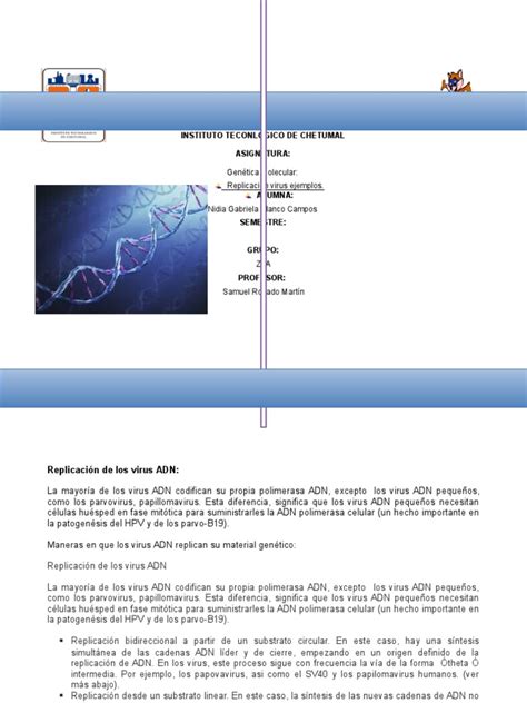 Ejemplos_ADN_Y_ARN_VIRUS.docx | Replicación De Adn | La transcriptasa ...