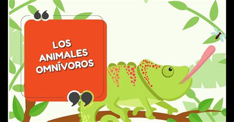 Ejemplos Animales Insectivoros Para Dibujar   heartfeltblurbs.blogspot.com