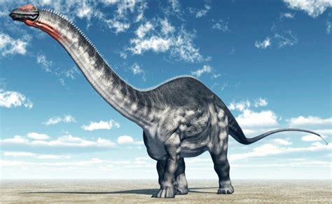 Ejemplos de Dinosaurios herbívoros