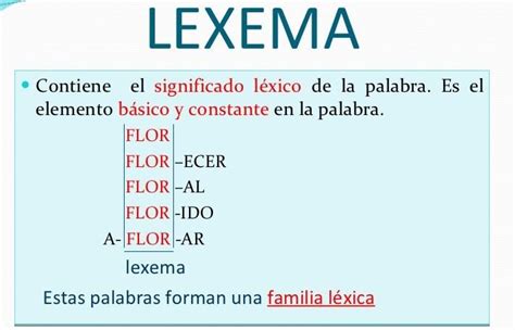 Ejemplos De Monemas Lexemas Y Morfemas   Colección de Ejemplo