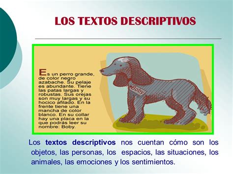 Ejemplos De Textos Descriptivos Cortos Para Niños De Primaria ...
