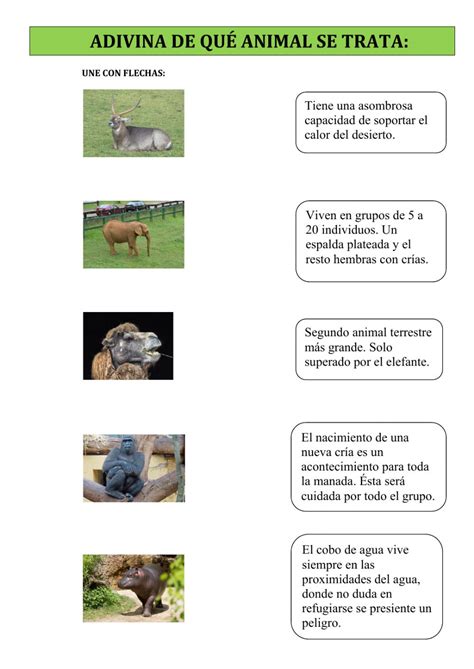 Ejercicio de Descripciones de animales.