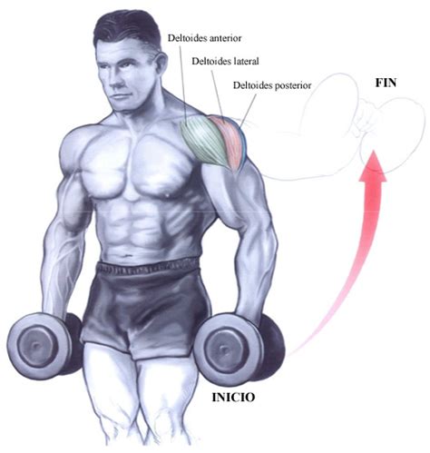 Ejercicios De Entrenamiento Para Desarrollar Hombros