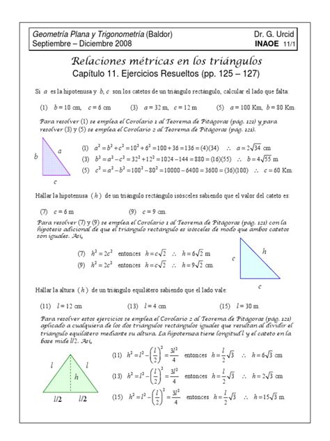 Ejercicios Resueltos de Teoremas de Pitagoras 1 | PDF | Euclides ...